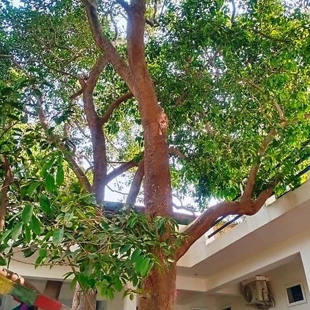 Green Hub Pushkar Villa Exteriör bild